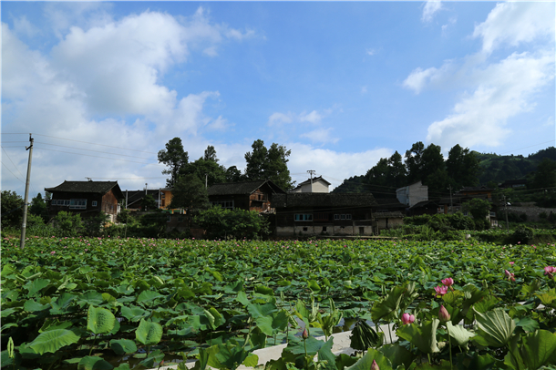 湖南"夺命寡妇村":逐行年男性总是会离奇死亡,揭开谜底