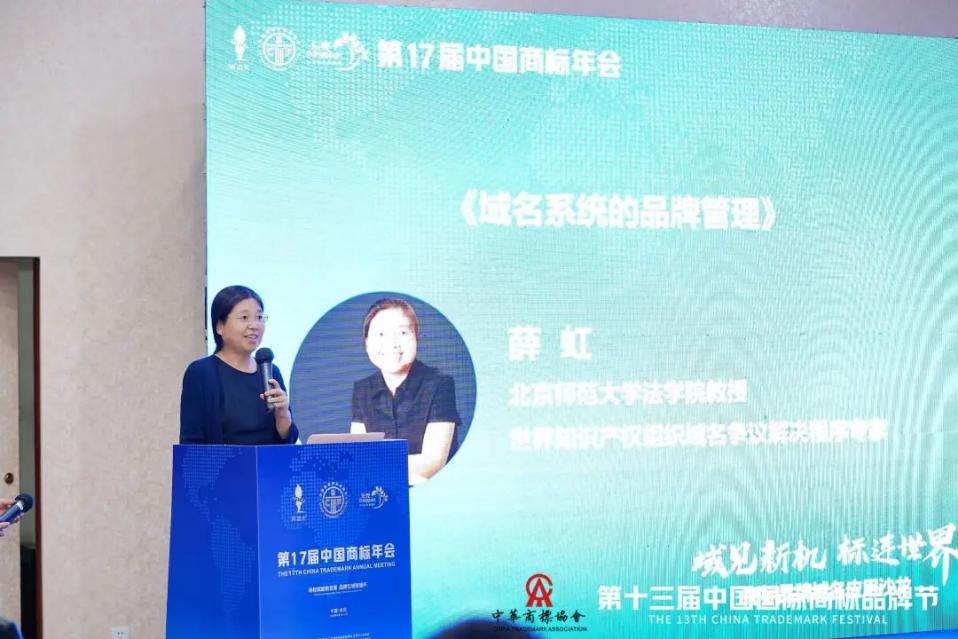 北京师范大学教授薛虹:注册顶级域名,实现互联网品牌自主可控