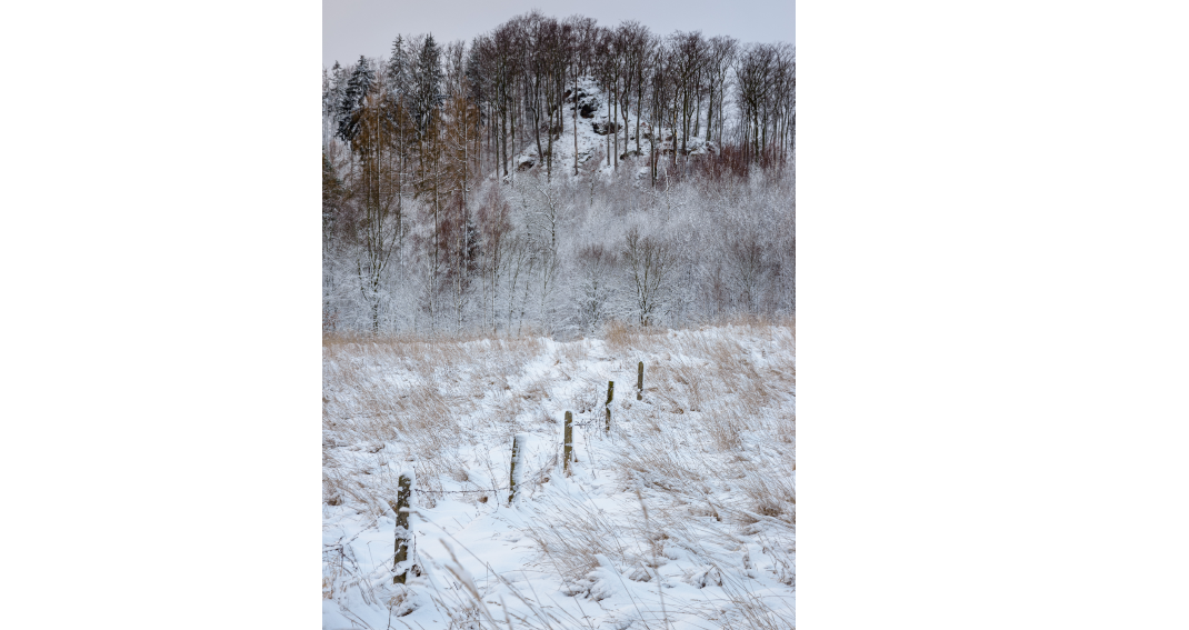 mindjet mindmanager 2022最新激活版安装包及破解教程