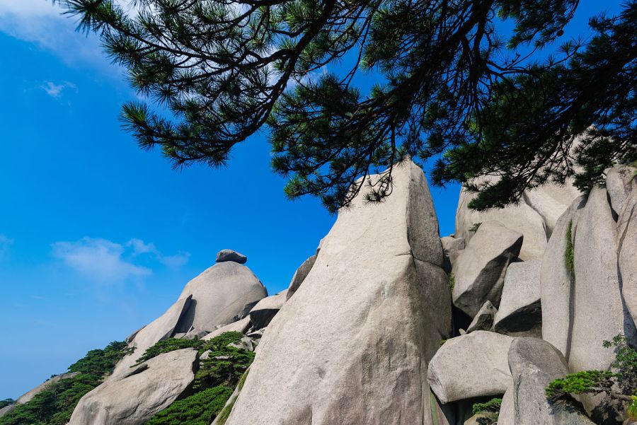 探秘天柱山大峡谷北门入口,体验壮美自然风光之旅