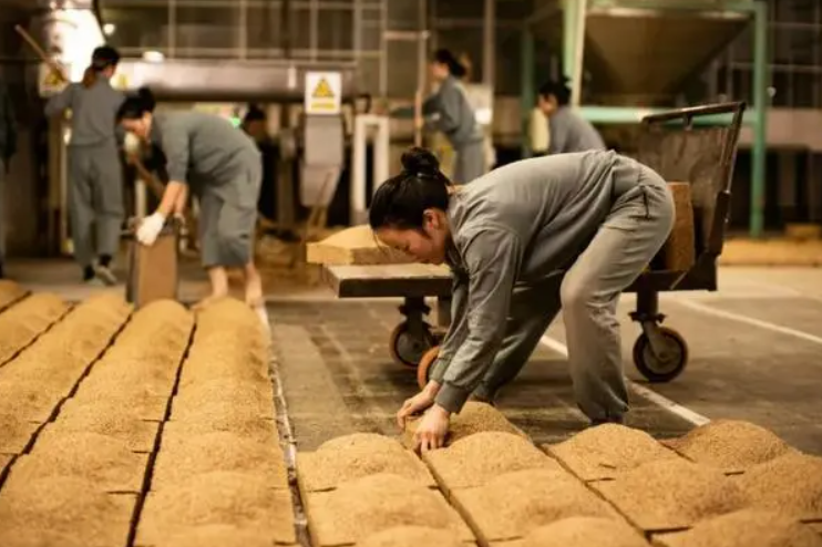 茅台车间女员工"酿酒私照"被曝,在网上引发热议,网友:谁敢喝