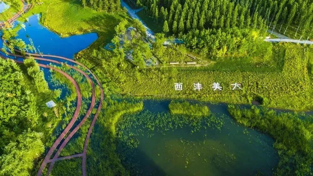 沣西故事:丰京故地崛起一座绿色科技新城