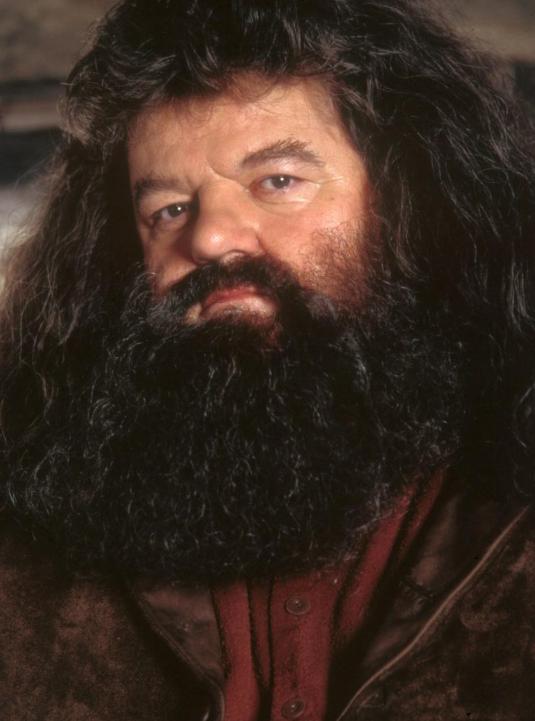 泪目!《哈利波特》海格扮演者离世,三年前就已用轮椅代步