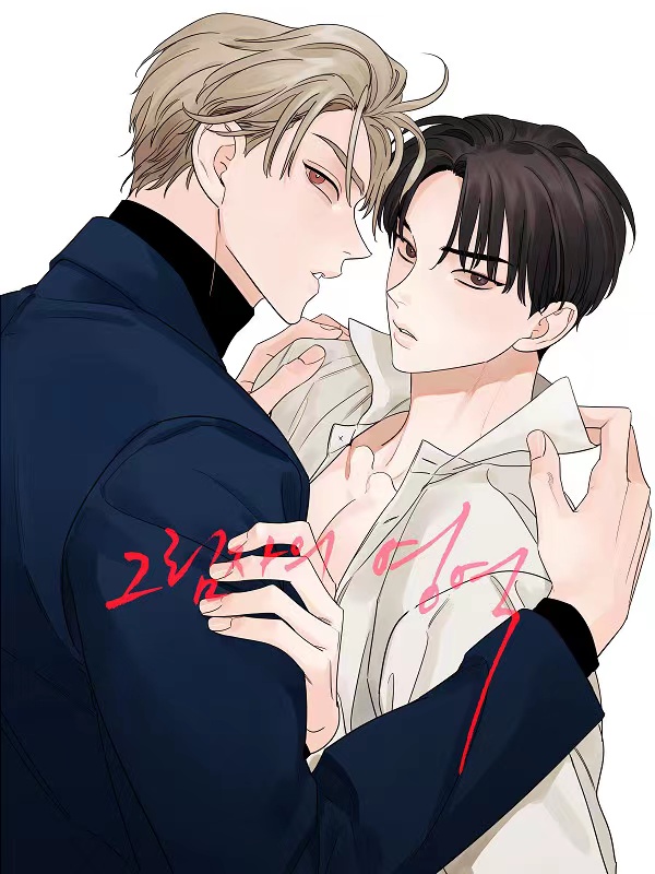 《影子领域》漫画免费下拉式漫画