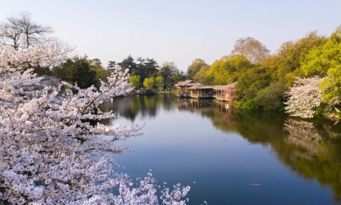 西湖春景,无处不美