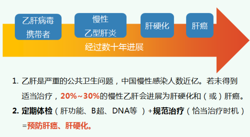 乙肝病毒携带者的寿命图片