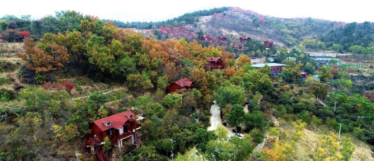 山东蒙山画院写生基地在蒙阴山旺农庄景区揭牌