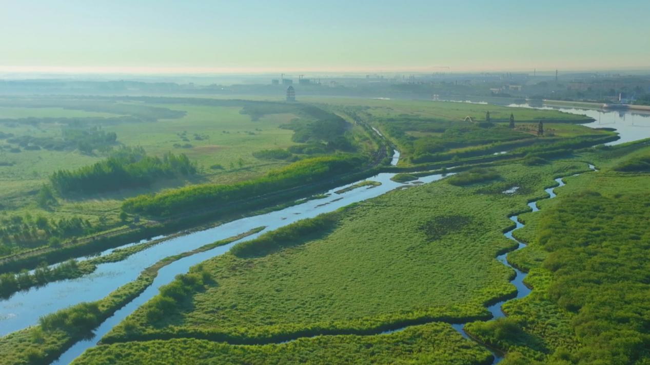 黑龙江同江:看得见"青山" 望得见"绿水"