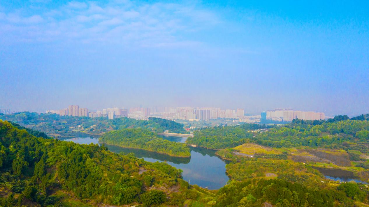 真武山憩园丨粽香龙舟,祭奠逝者,感恩生命之贵