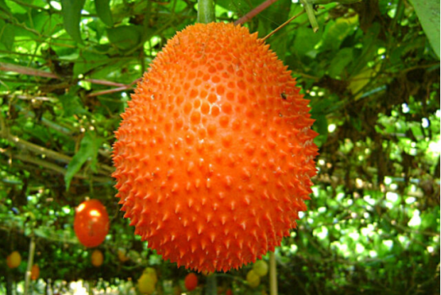 暑假如何正确使用电子产品,让孩子减少眼睛伤害?