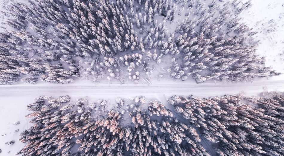 adobe acrobat pro dc 2022破解版下载安装激活步骤pdf神器2022版