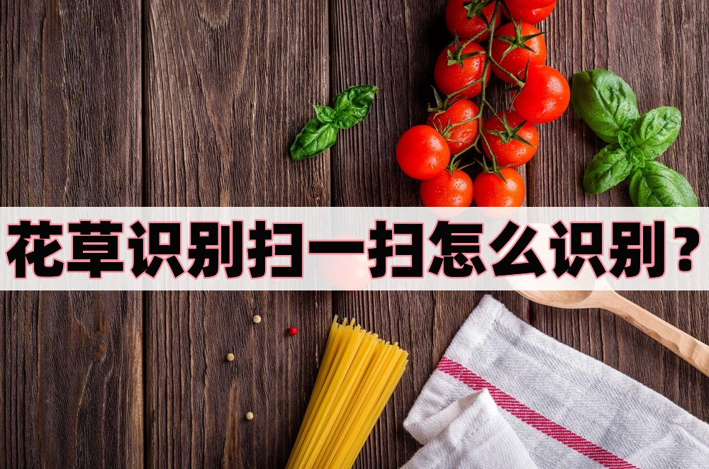 花草识别扫一扫怎么识别?识别花草的三个方法