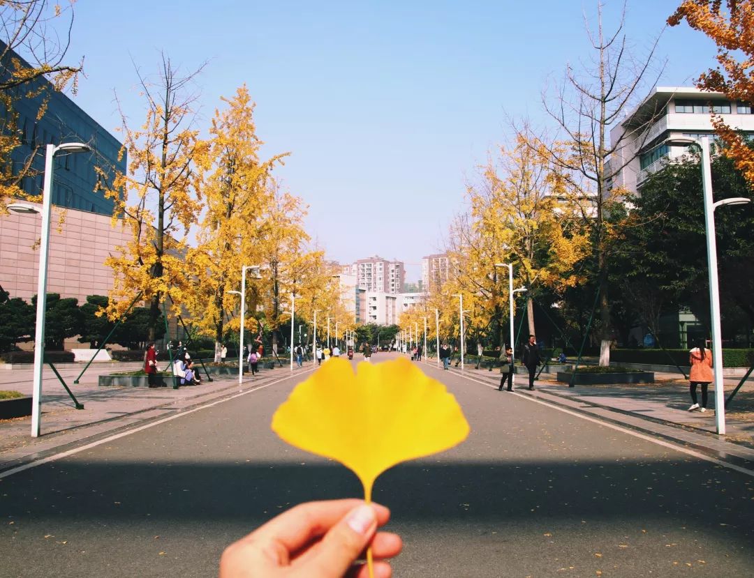 四川农业大学 风景图片