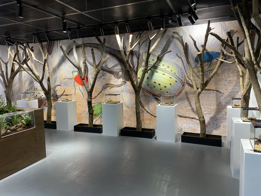 淳安县县委常委鲁连美及各乡镇商会负责人调研千岛湖虫趣科普馆