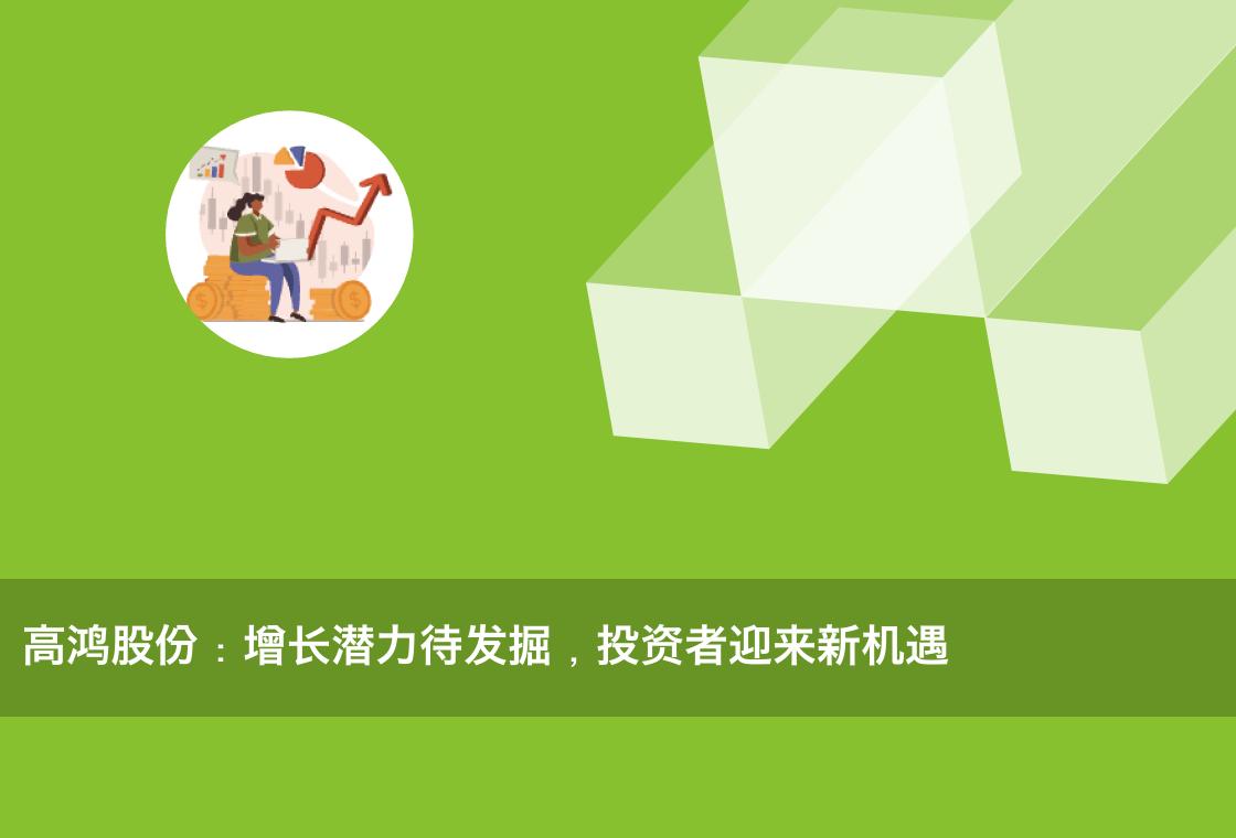高鸿股份:增长潜力待发掘,投资者迎来新机遇
