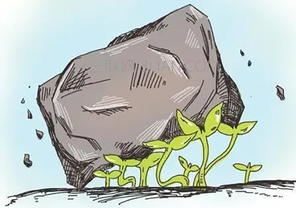 逆境鸡汤,送给正在逆境中奋斗的你,干杯!