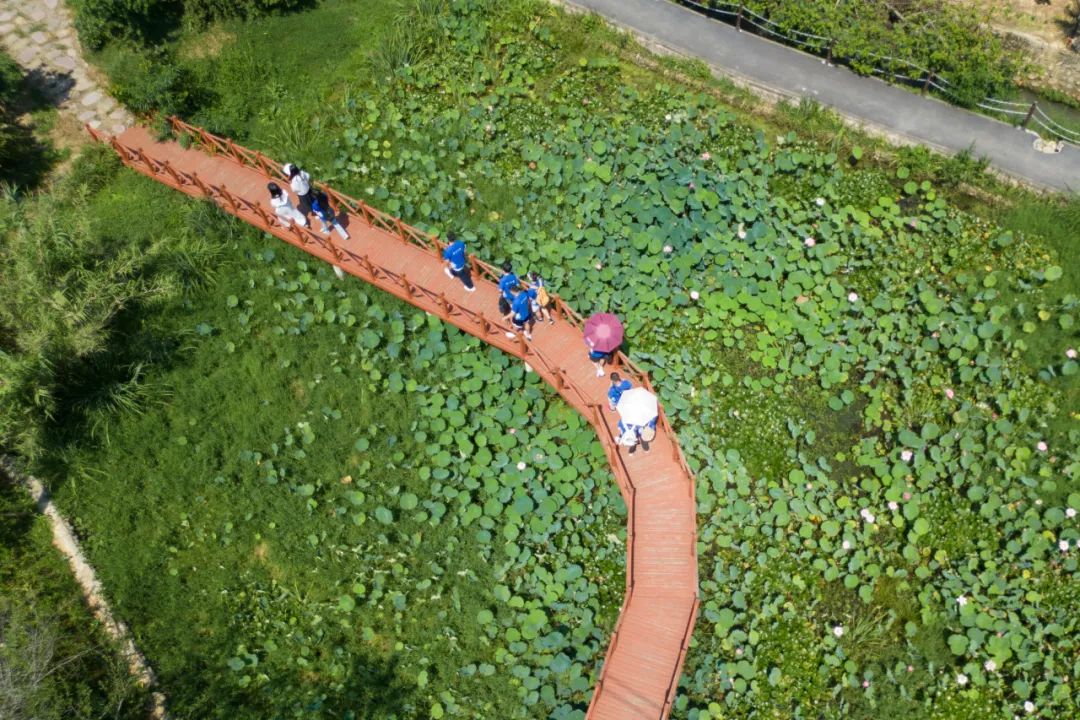 "天府兴农,筑梦红旅"实践调研团走进成佳镇麟凤村