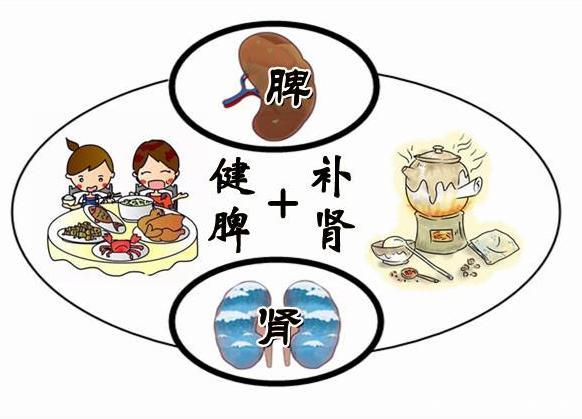 送你一个千年古方,温补脾肾,补足阳气