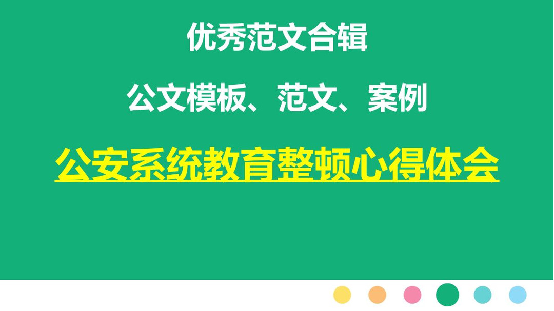 公安系统教育整顿心得体会