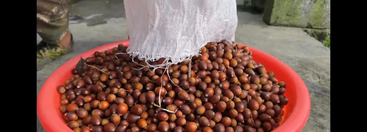 湘西冬宝,最有特征的发财门路,真是黑天了