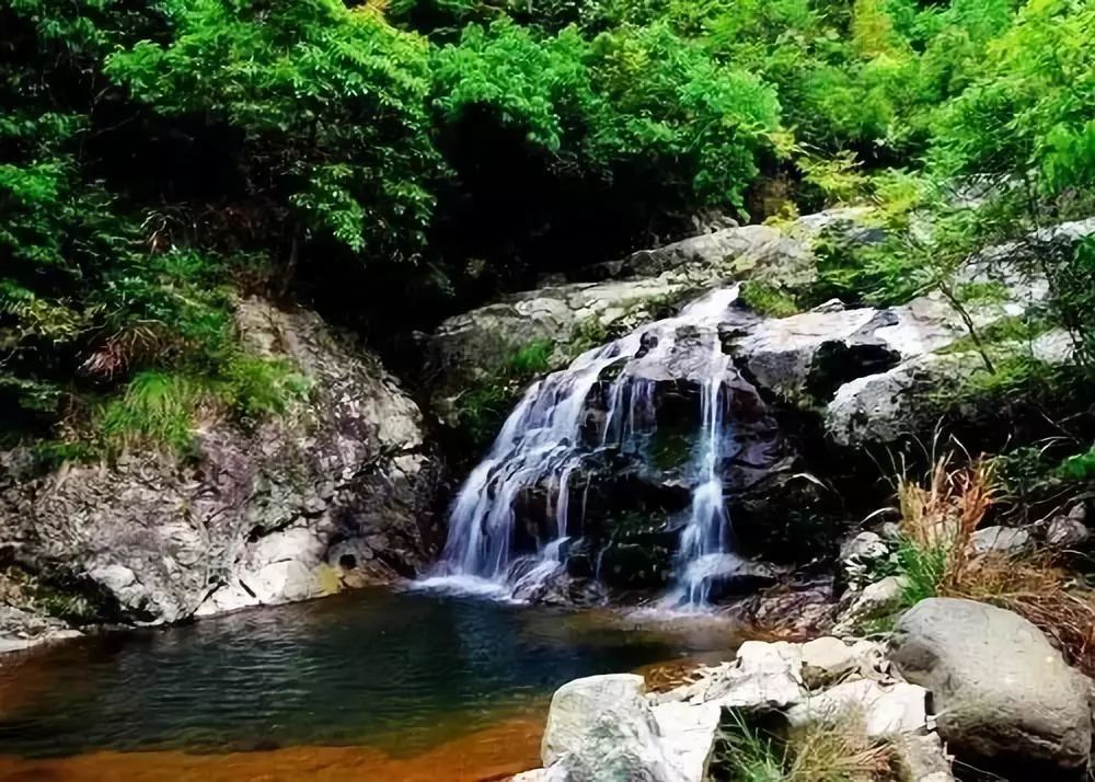 三門農家樂,民宿遊玩推薦