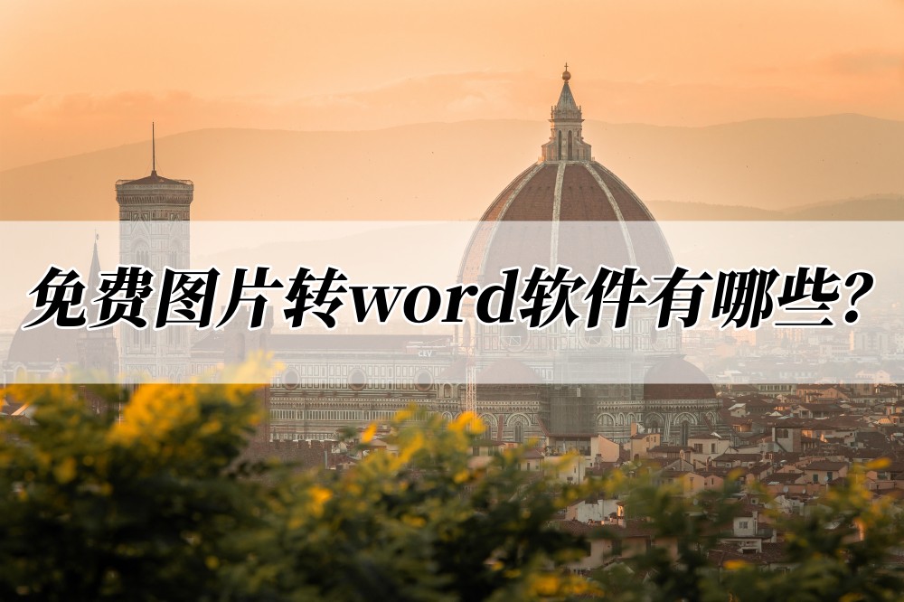 图片转化为word图片