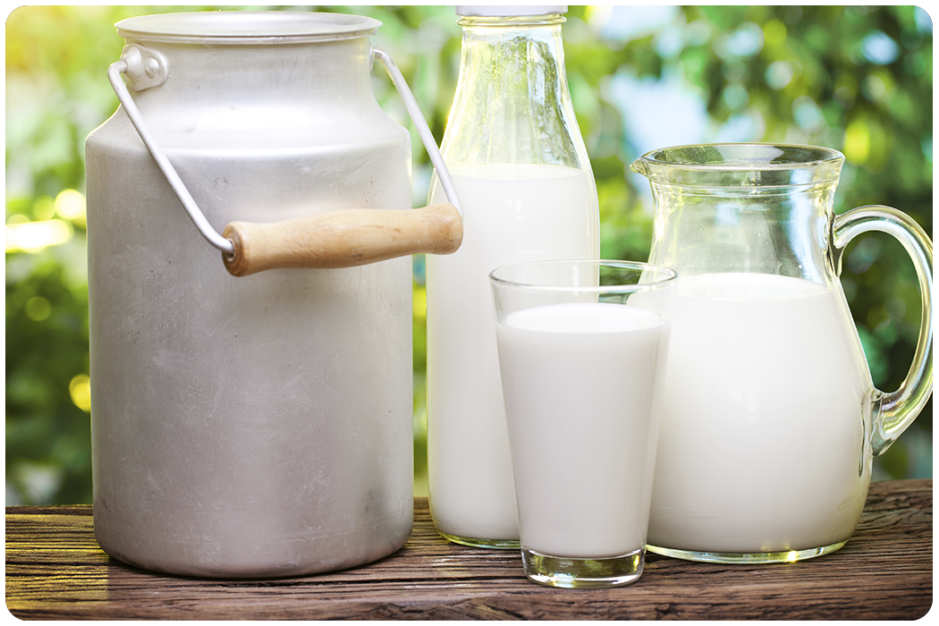 羊大师:鲜羊奶选对的,认准活性免疫球蛋白是关键!