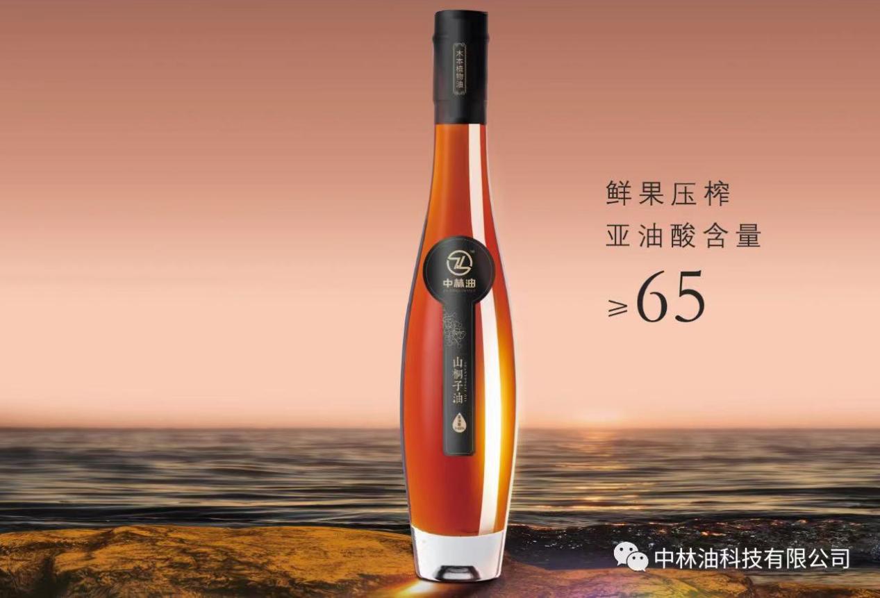 中林油山桐子,绿色低碳新赋能