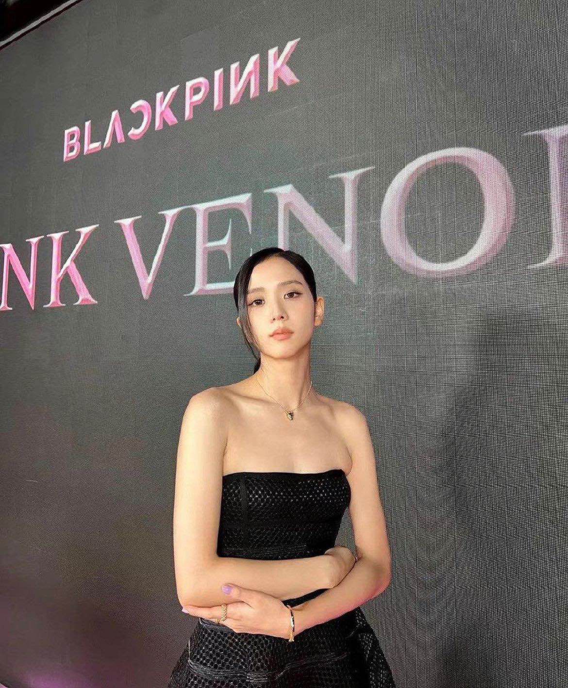 金智秀穿"苍蝇裙"太美了,勒出"副乳"也不尴尬,真大气!