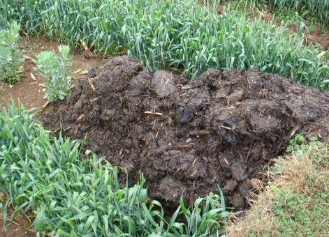 回顾 四川人肉火锅案:儿媳杀害婆婆煮成人肉火锅,狼吞虎咽吃光