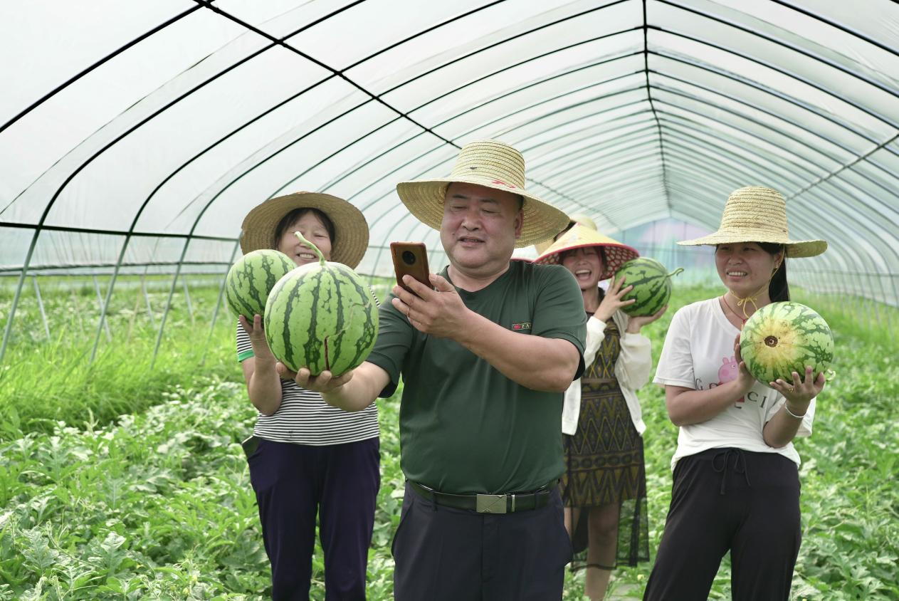 "数"说乡村振兴联通数字乡村的智慧十二时辰