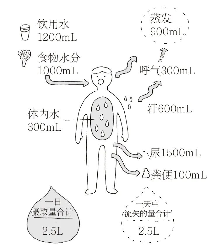 一氧化二氢,真有这么可怕?