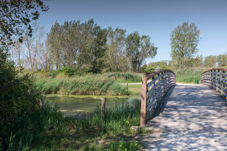 德州大雁岛绿色生态园:一次生态与文化的完美之旅