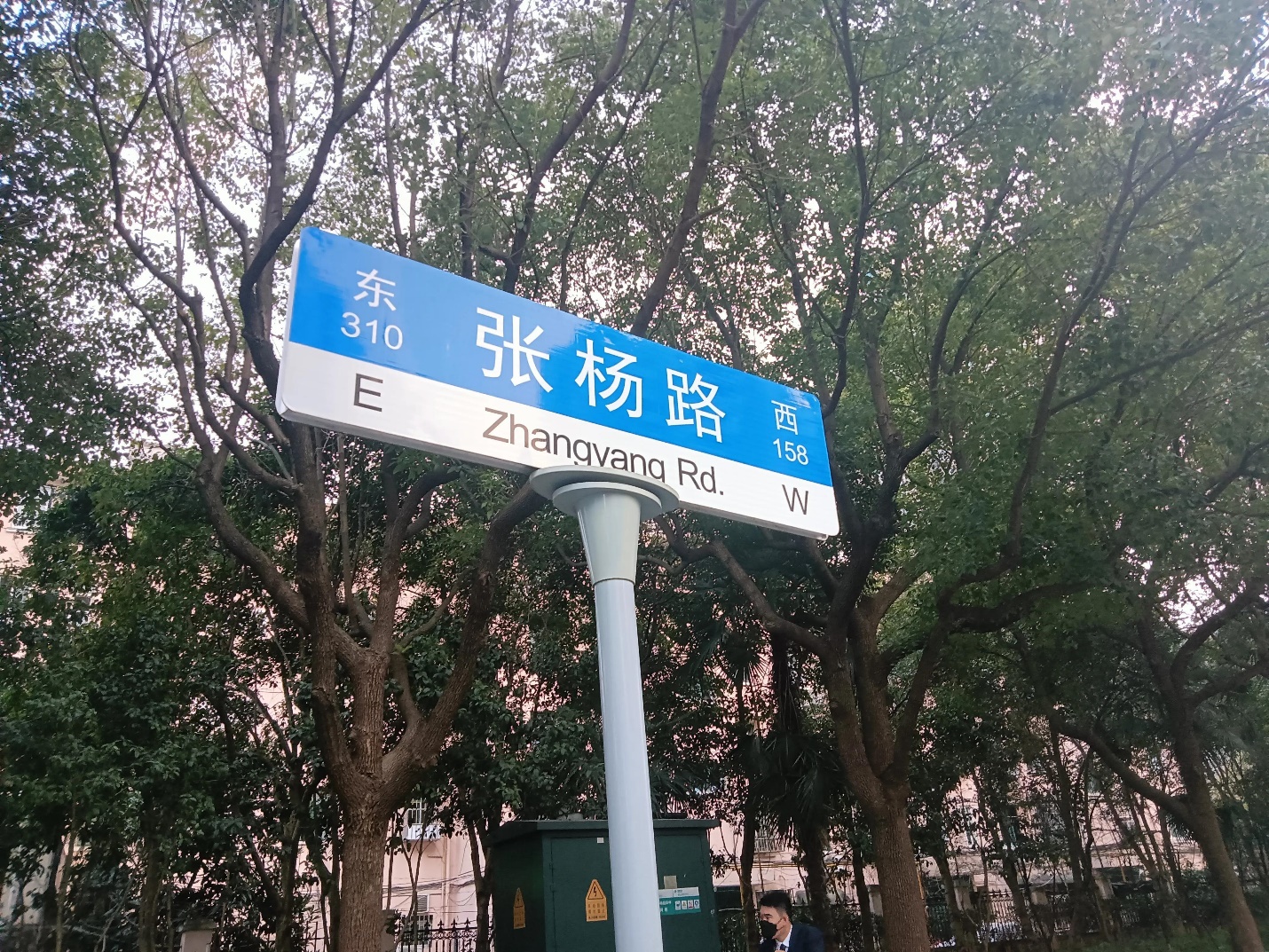 上海記憶之張楊路