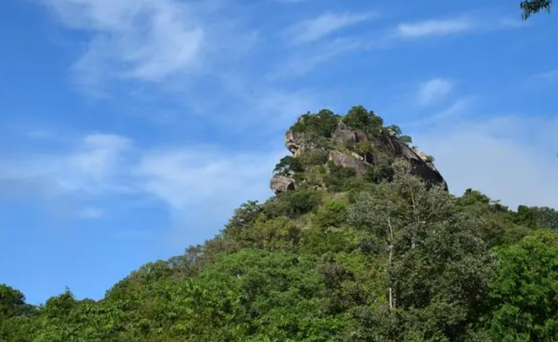 太行五指山雄