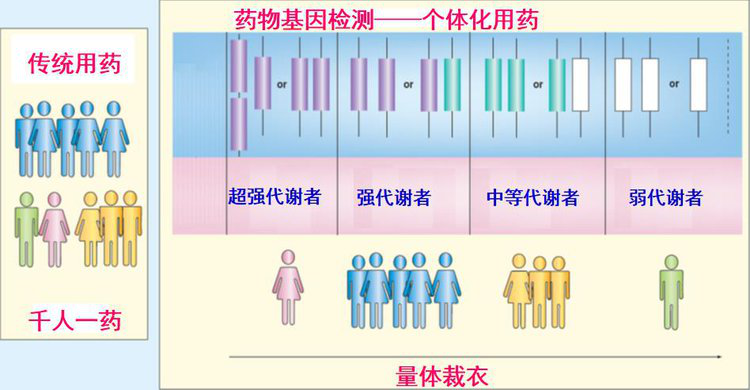 精准医疗时代∣了解药物基因检测,是合理和安全用药的健康保障