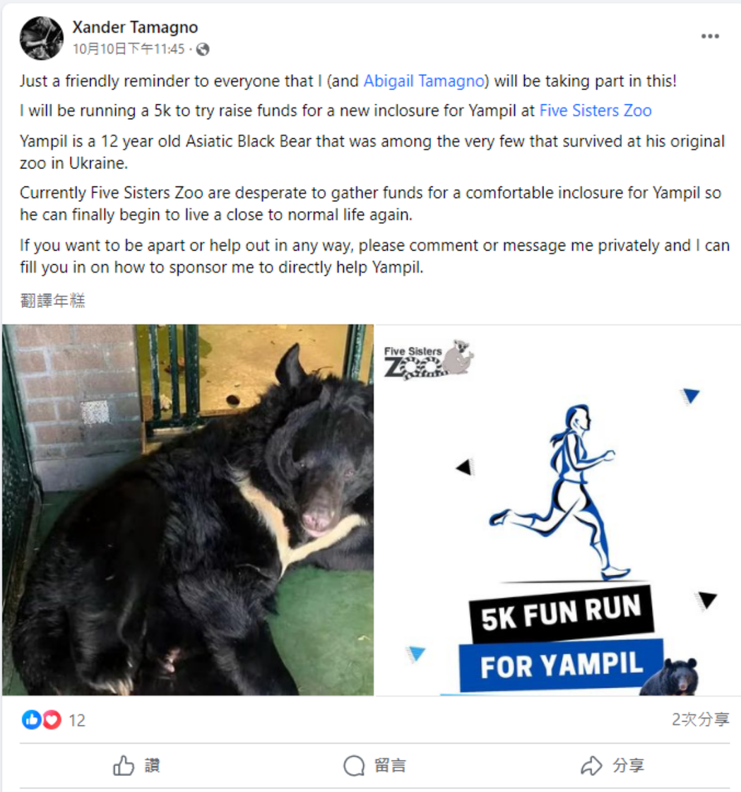 乌克兰战火劫后余生的动物奇迹:黑熊扬皮尔