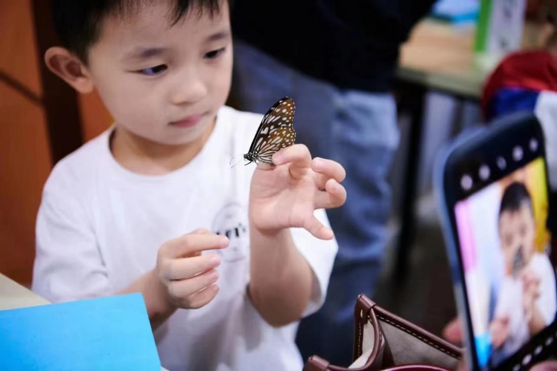 研学旅行|探秘南京昆虫博物馆