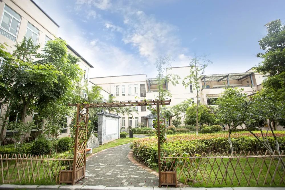 每日高新一校——重庆市南开景阳小学校