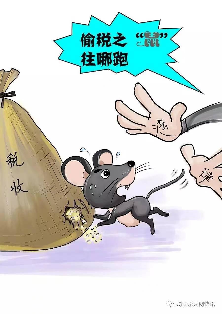 偷漏税被罚,知名女艺人关联公司注销