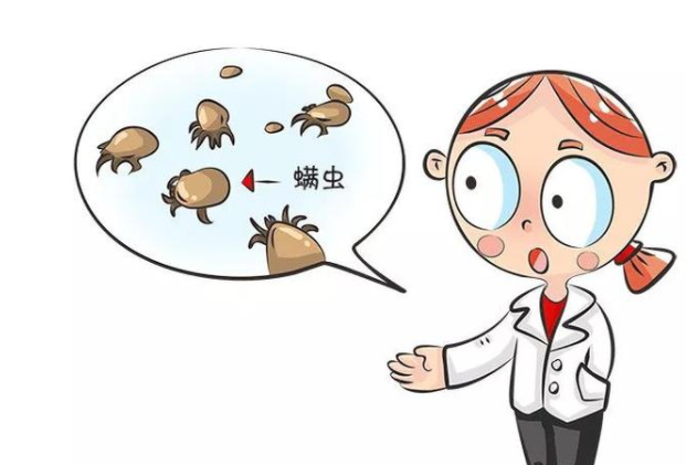 床上"螨虫成堆"?老保姆教你个方法,只需五分钟,螨虫全消失