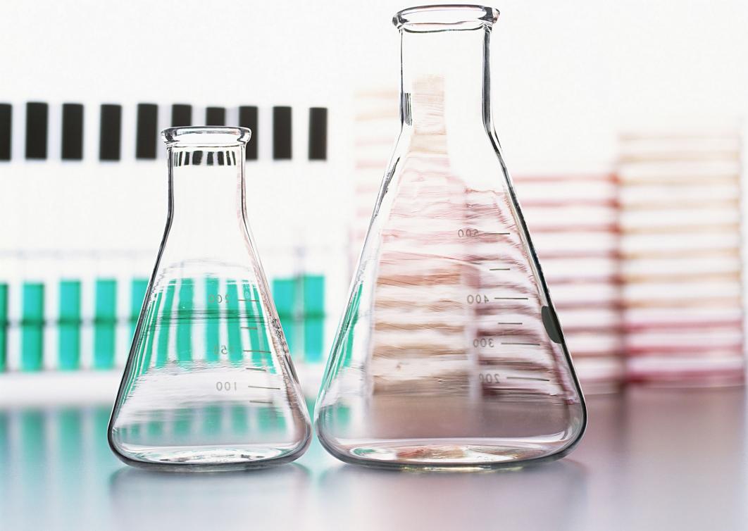 侧孢芽孢杆菌的多重应用