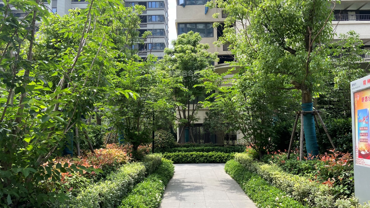 曾经视频直播交房的楼盘,实探旭辉翡翠江来!