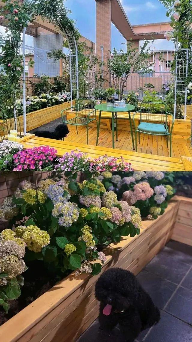 7天3万块46㎡,改造露台花园,实现烧烤,看电影和鲜花自由