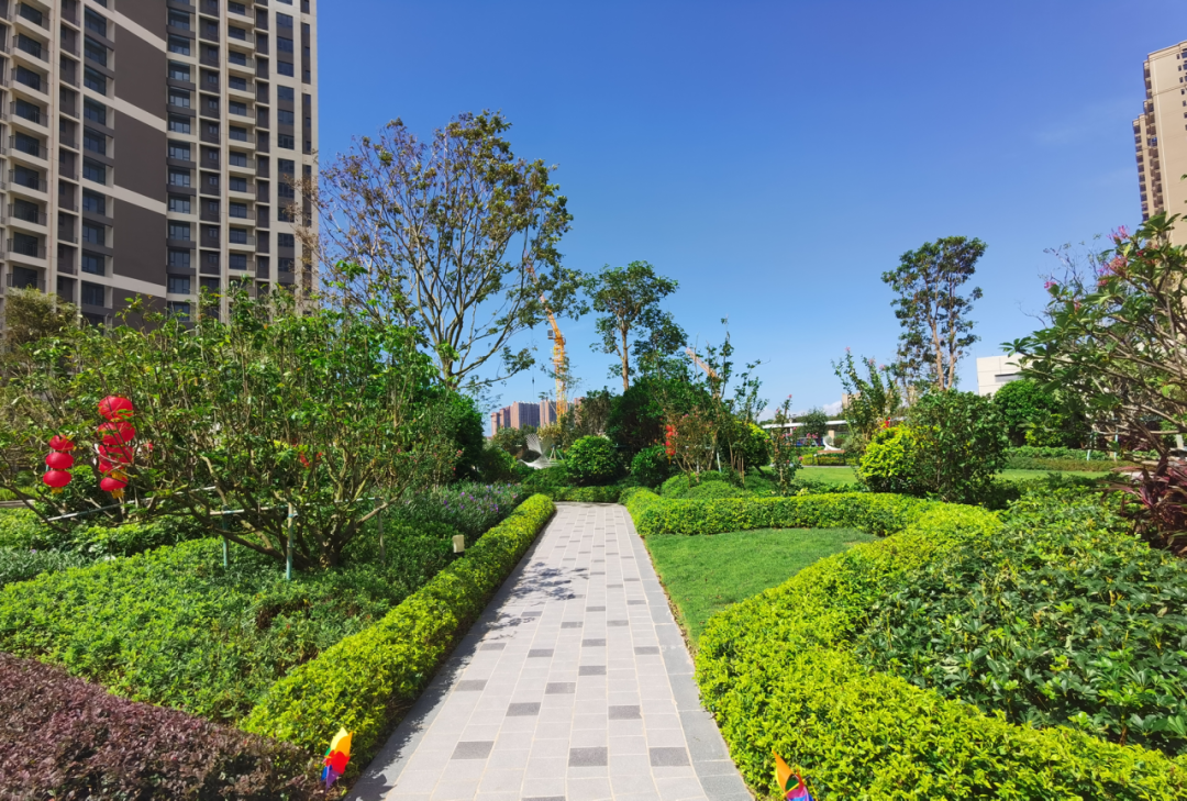 湛江吴川·敏捷金玥府顺利交付 以品质人居赋能美好生活