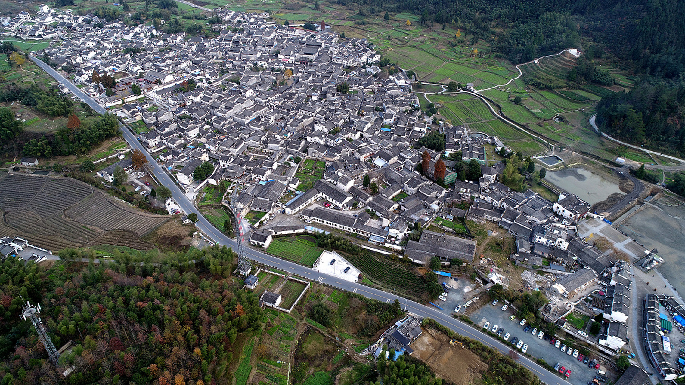 镜头里的春天# 安徽绩溪瀛洲镇是一个位于安徽省宣城市绩溪县的地方.