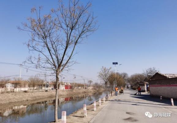 静海:疫情防控不松懈 卫生整治不停歇(陈官屯篇)