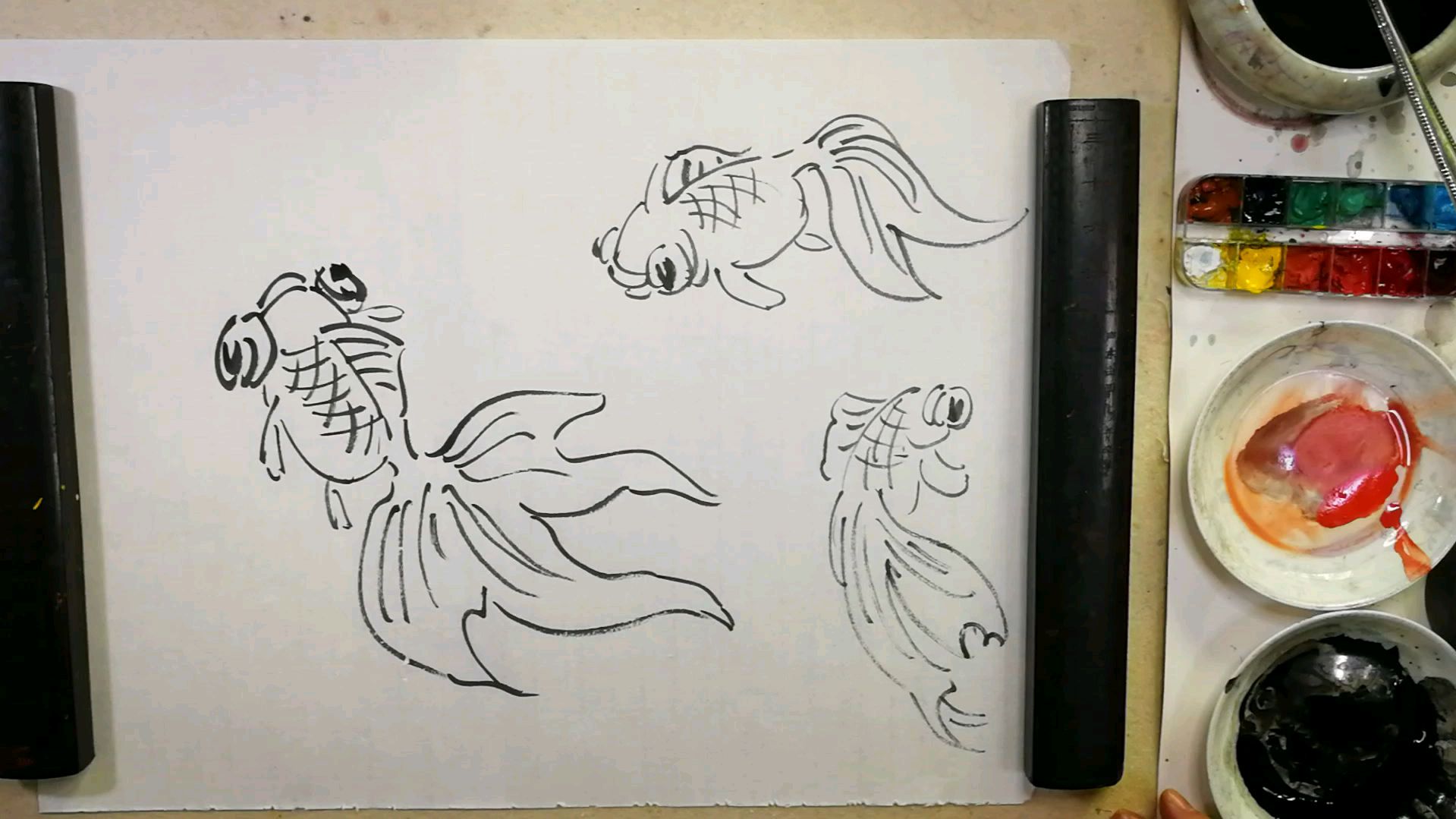 第七章金鱼的画法。第二节金鱼的结构与动态变化:2动态变化