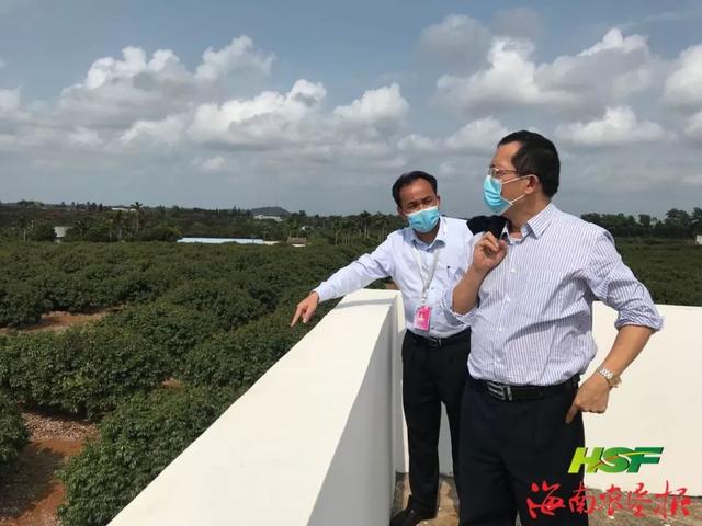 王业侨赴红明,草畜调研:一手抓疫情防控 一手抓经营生产 切实履行好