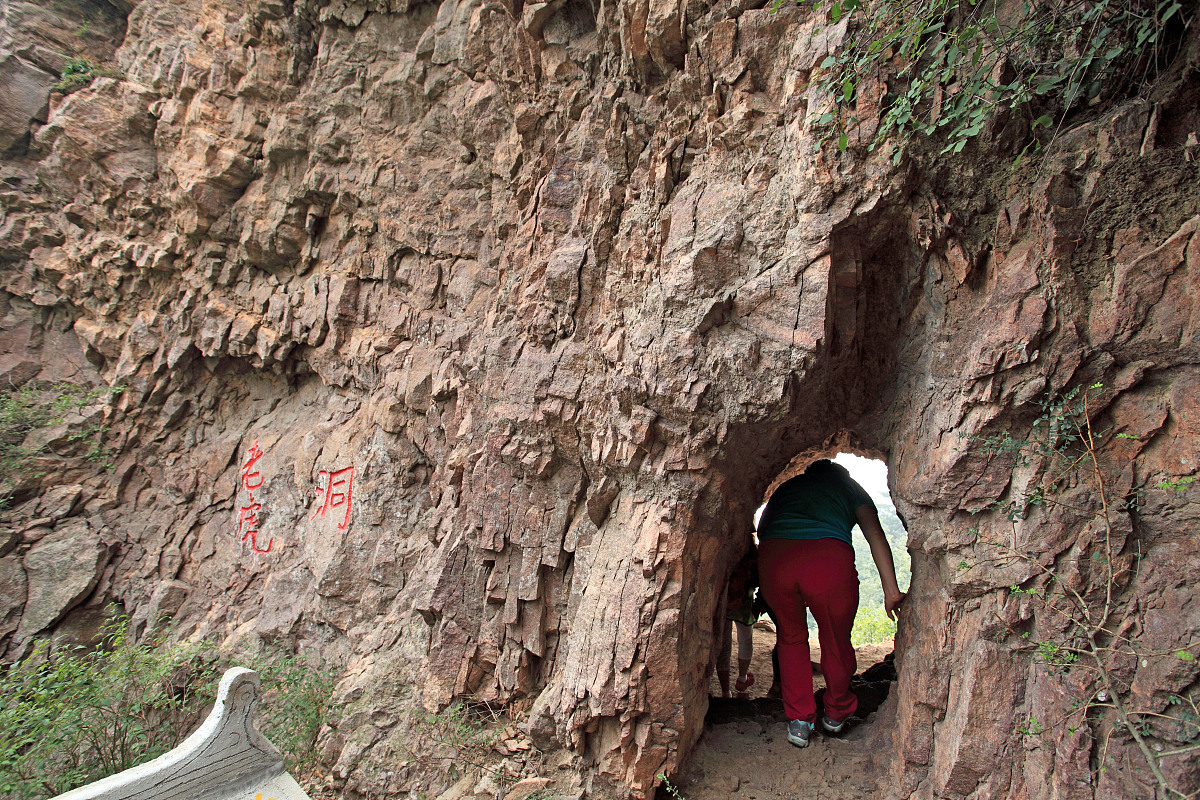 在当地这样过夏天#